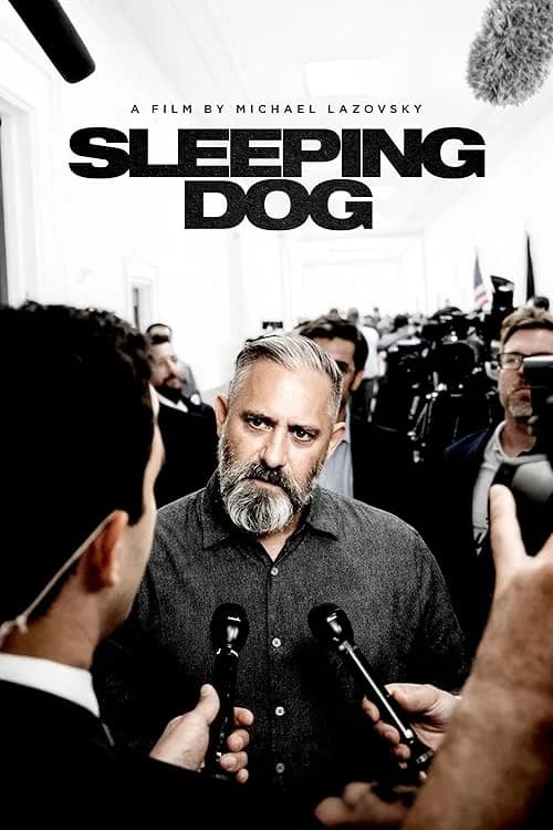 Sleeping Dog